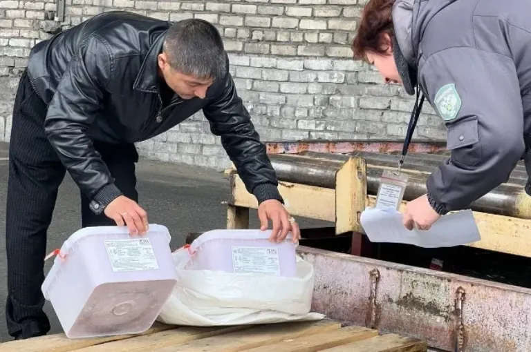 Из Хабаровска самолётами отправили 5,6 тонны лососевой икры