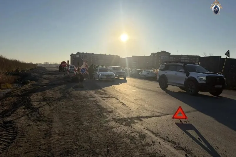В Хабаровском крае возбудили дело после гибели девочки под колёсами