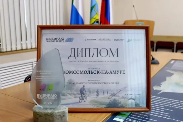 Комсомольск-на-Амуре победил в номинации акции «Выбираю чистый воздух»