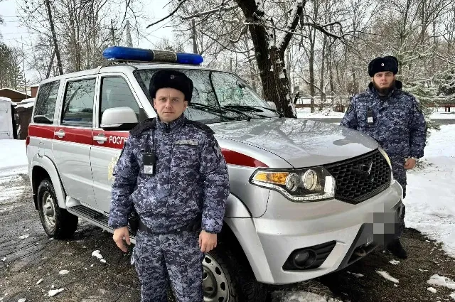 Росгвардейцы вытащили водителя из смятого грузовика на трассе А-370